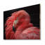 Flamants rouges rougissant - Art mural en bois flamant sur bois de pin naturel-101402551