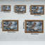 Cadre mural Bohemian WaxwingOrnate-1009843342