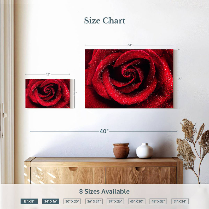 Harnek Droplets On Red Rose, 16'' H x 24'' W