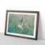 Seagull - Picture Frame Painting Print-56705403-56705406