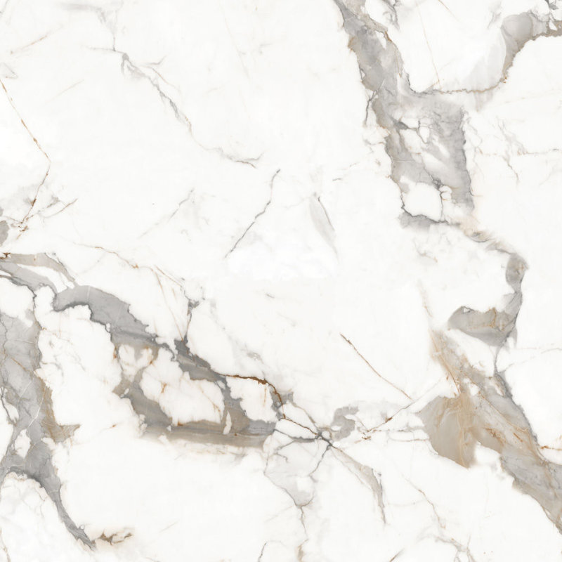 Carrelage mural en porcelaine 24 po x 48 po Calacatta Carrara