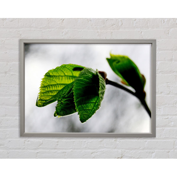 Ebern Designs The Winter Leaves - Single Picture Frame Print on Canvas ...