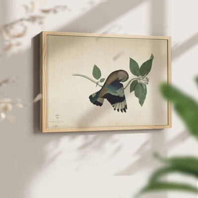 Faune rétro-XV - reproduction encadrée