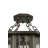 16"W West Albany 4 LT Pendant