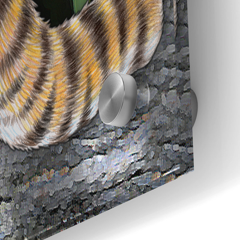  «Margay» par Tim Jeffs, art mural en verre acrylique, H 24 po x l 36 po