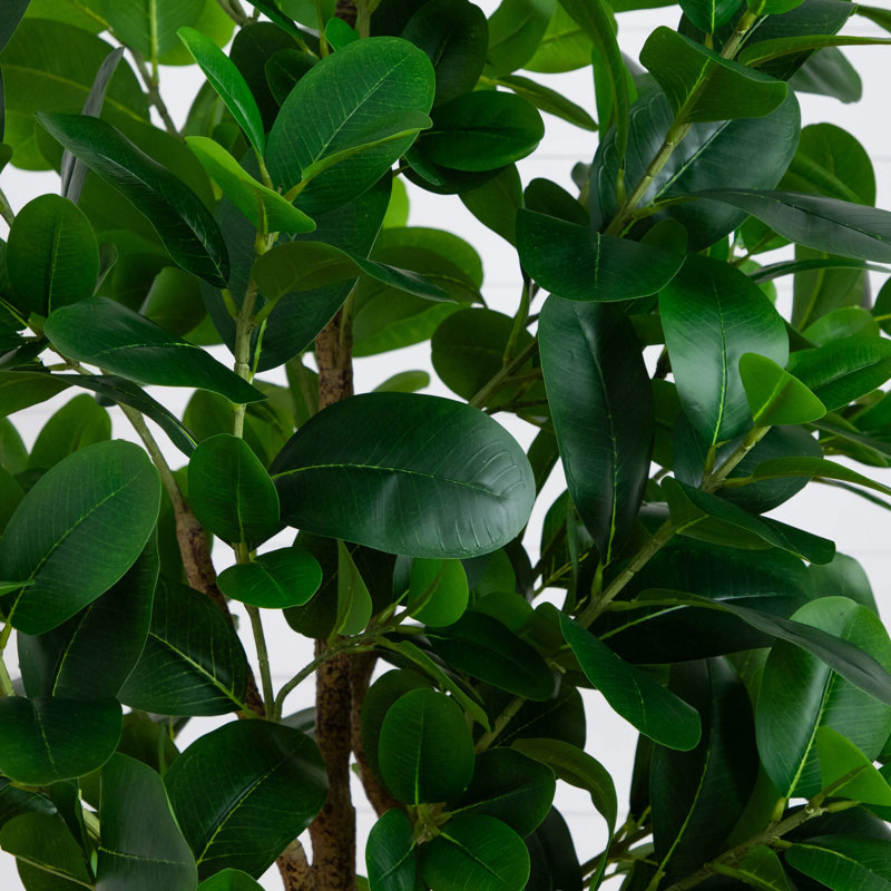 7 pi Ficus Audrey artificiel, H 84 po x l 28 po x P 7 po
