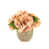 Pink/Peach selected