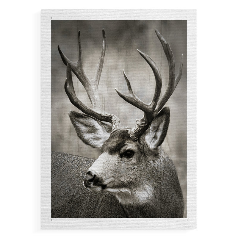 «Focused Buck», impression sur toile seulement - non encadrée, H 48 po x l 32 po