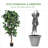 72'' Faux Ficus Tree in Pot
