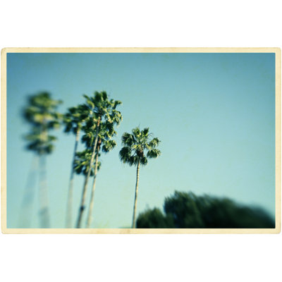 Palm tree postcard