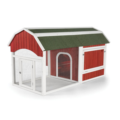 Hermione Chicken Coop with Chicken Run and Roosting Bar