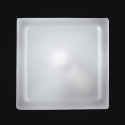 Boylan 2-Light Flush Mount