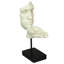 Statue Vitruvian soufflant un baiser