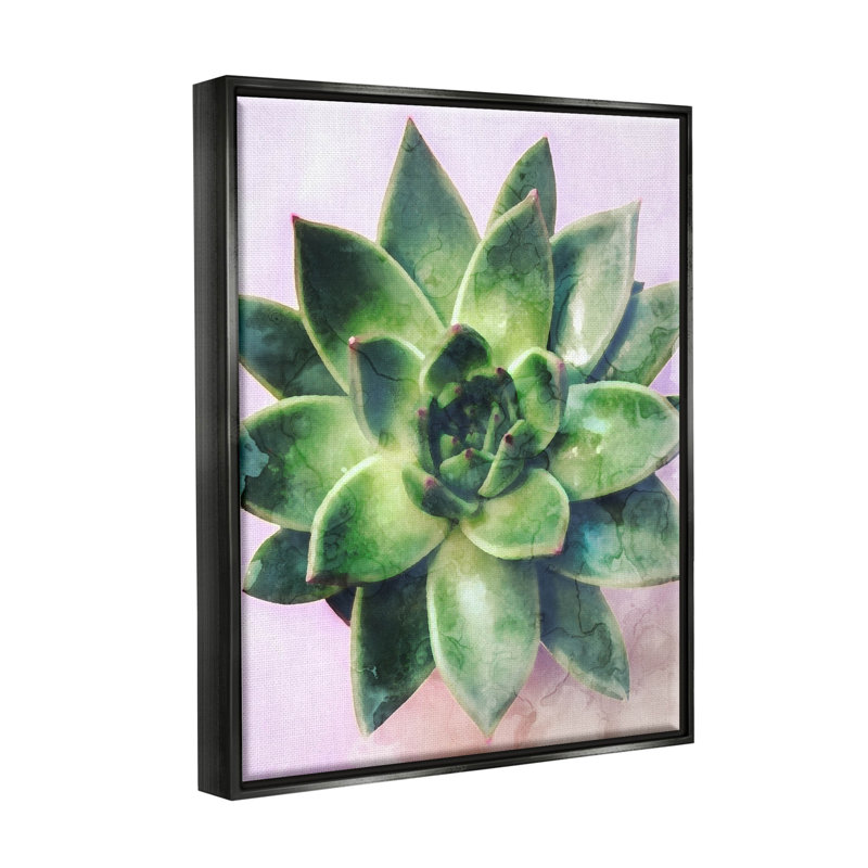 «Round Succulent Plant Leaves» par Daphne Polselli, H 21 po x l 17 po x P 1,7 po, Cadre flottant noir de jais
