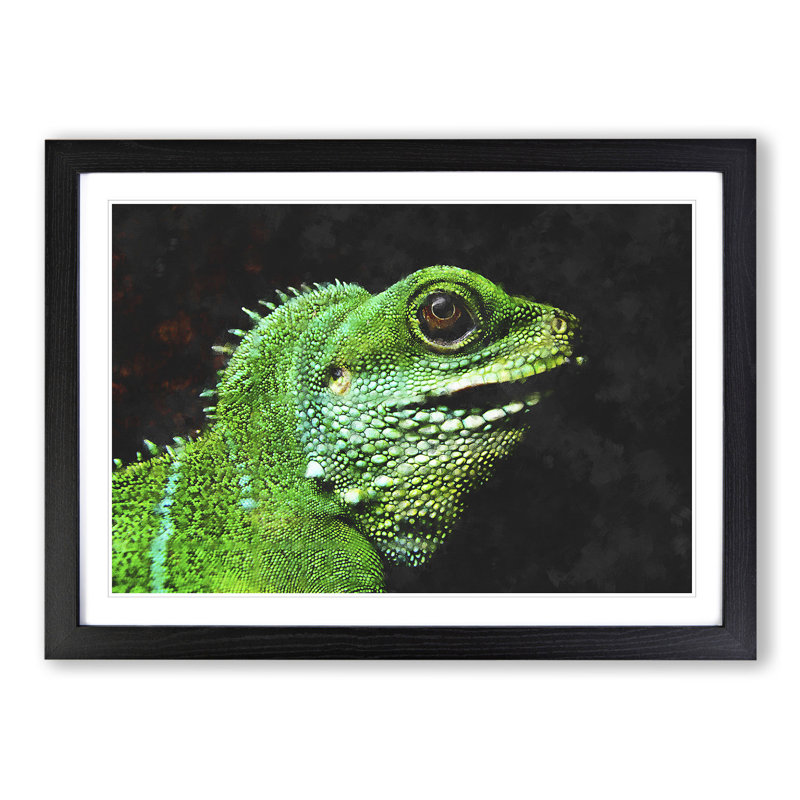 Iguana Lizard - Picture Frame Graphic Art, 27cm H x 36cm W x 2cm D, Black Framed