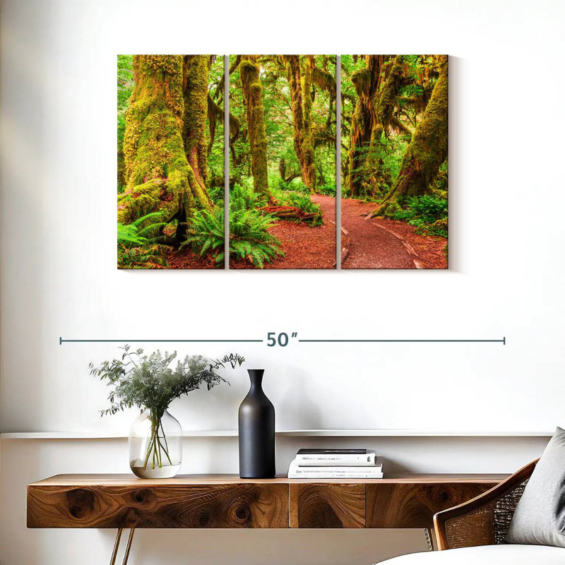 Mossy Hoh Rainforest Trees, H 24 po x l 38 po