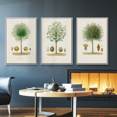 Ensemble de 3 pièces encadrées sur toile Antique