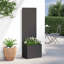 Planter Box-1488581414-1488581410