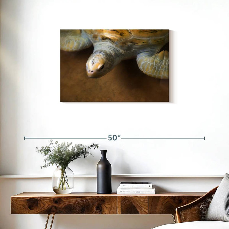 Stunning Turtle, 20" H x 30" W
