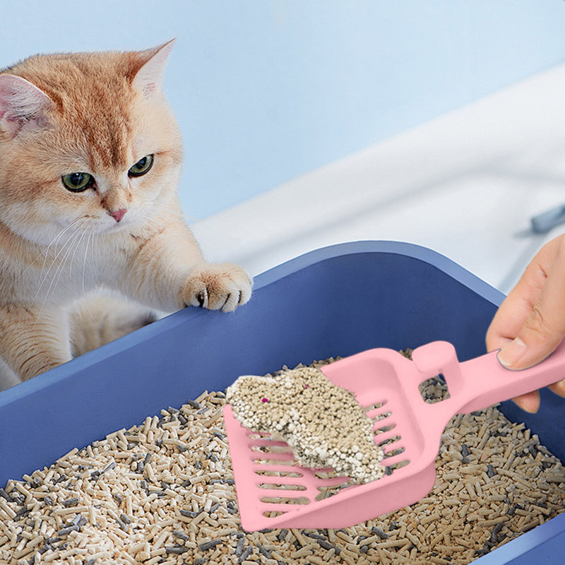 Litière pour chat avec trou de suspension, 8,82 x 3,78 pouces, rose, Rose
