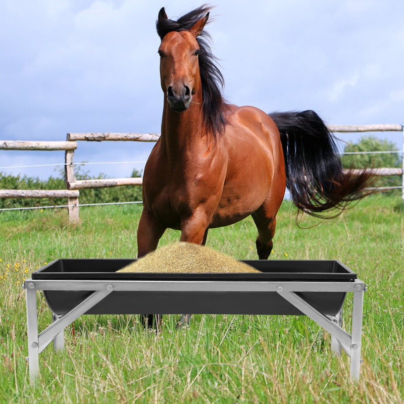 Mangeoire pour animaux de grande capacité 9,25 gallons, Noir, noir, noir, noir