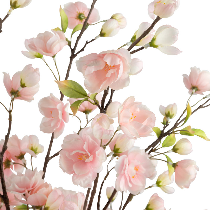 Leonie Cherry Blossom Toile Arrangement