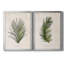 Palm Botanical I - ensemble de 2 photographies sur toile-1425392431-1350425249-1425392426