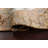 One-of-a-Kind 4'1" X 6'7" New Age Area Rug in