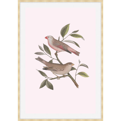 Nesting Navigators Pink 6 Print