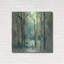  «Romantic Forest Neutral» par Silvia Vassileva, art mural en métal-1832074873