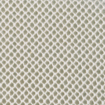Modern Nature Etosha Velvet Fabric