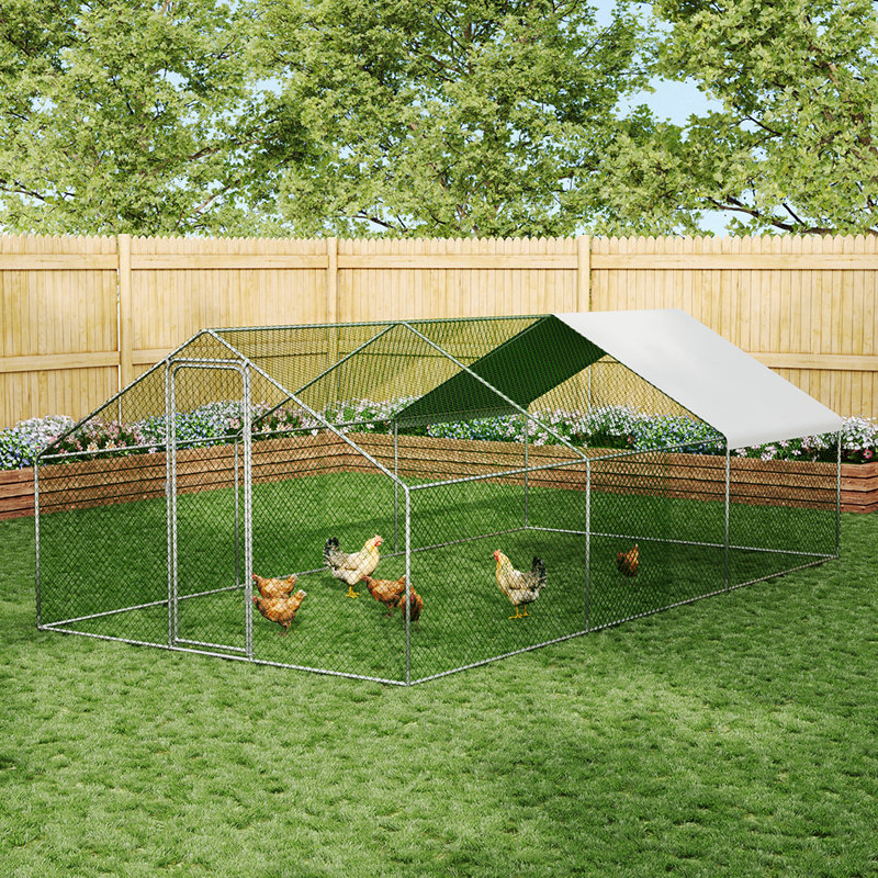 11.48m² Chicken Coop