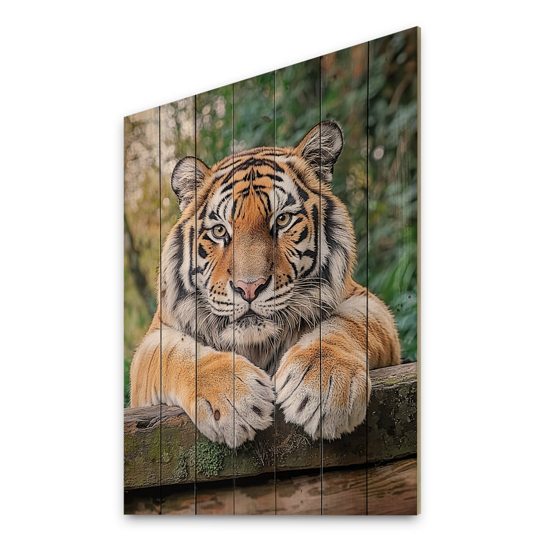 Portrait de tigre - art mural moderne sur bois de pin naturel, H 32 po x l 24 po