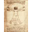 Vitruvian Man by Leonardo Da Vinci - Print on Canvas-1136970553