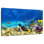 Brampt Marine Life