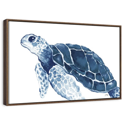 Tortue dans les bleus