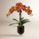 Orchid Floral Arrangement