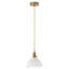 Luminaire suspendu 1 lumière en métal poli à 1 lumière E26, hauteur réglable, intensité variable, homologué ETL-1192591214