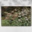 Paysages rétro-CMLxxxxi -Galerie enveloppée Cavas-267983493