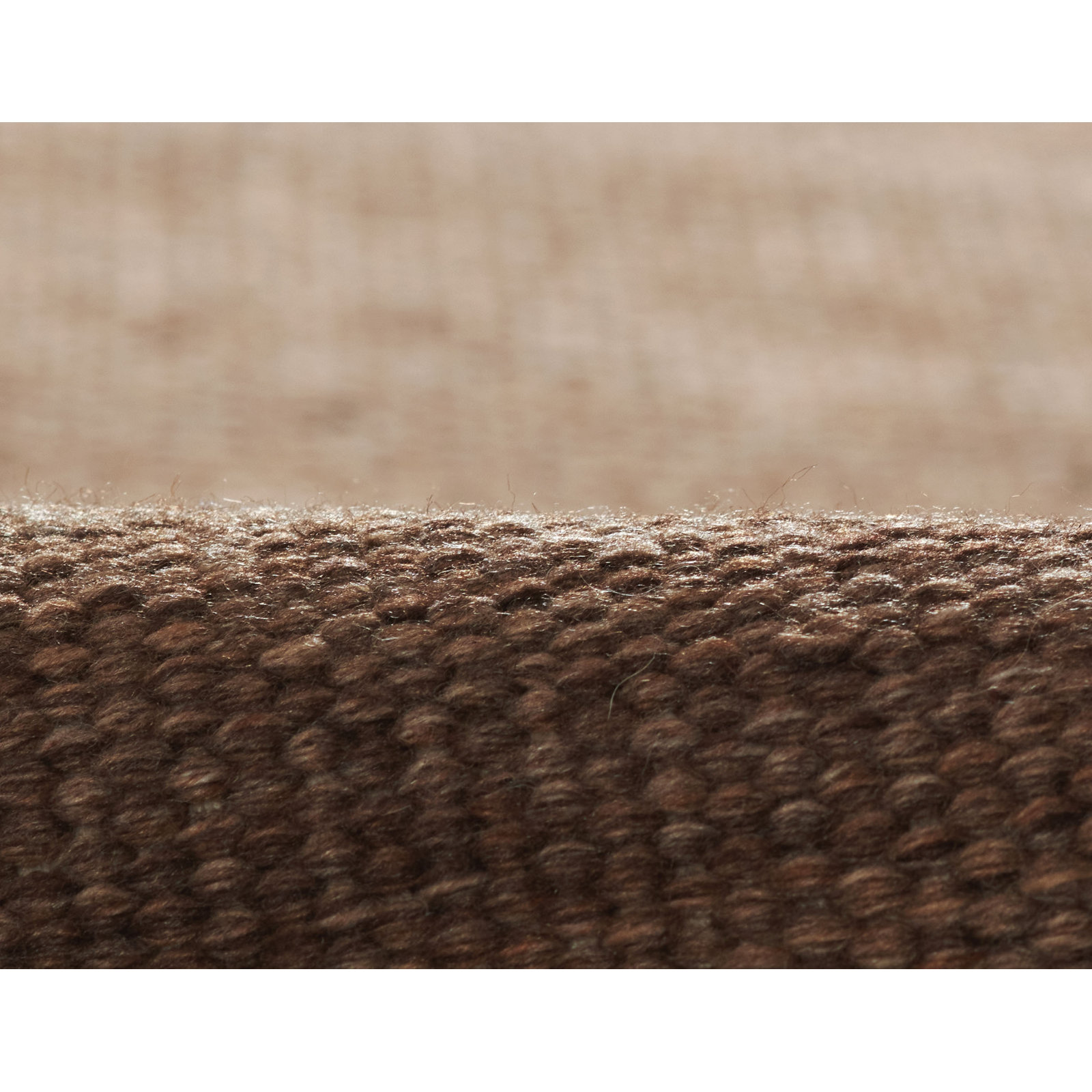Cassandra Brown Hand-Woven Outdoor Rug, Rectangle 8' x 10'