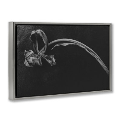 Soft Collapse Flower Floating Frame, design by Amy Carroll