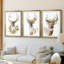 Collection Holiday B Deer-271487296-271487300