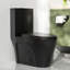 Toilette allongée moderne monobloc Ace 1,6 GPF-111041676-88234901