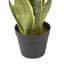 Plante de serpent artificielle-652808537