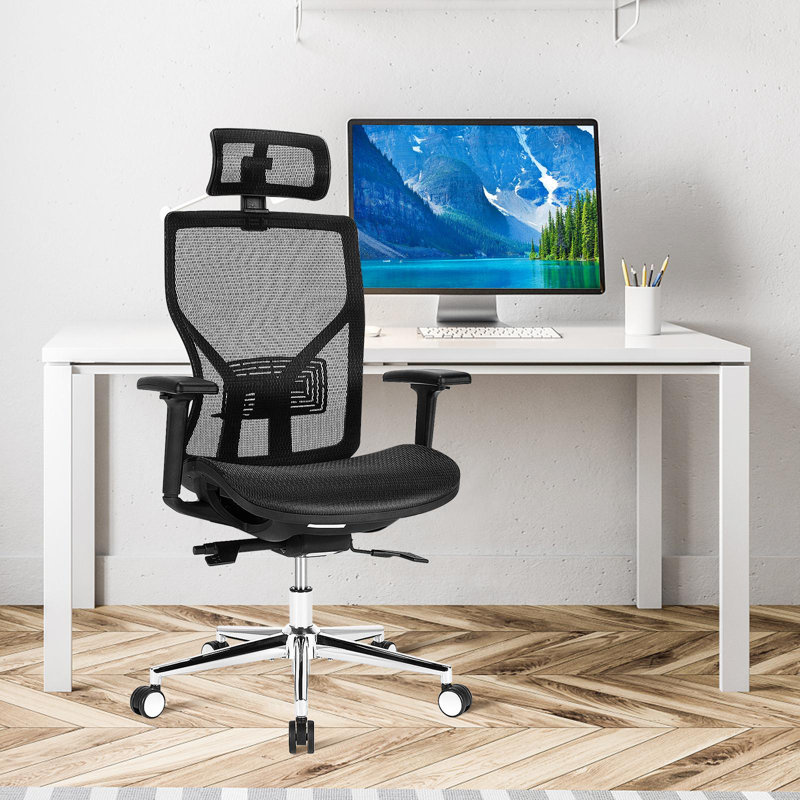 Lachlynn Mesh Task Chair with Headrest