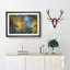 Robin Bird in a Tree - Picture Frame Painting Print on MDF-56758583-56758587