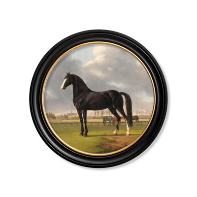 Horse Left Facing by Mid-1800s - Single Picture Frame Print on Archival Matt 230gsm Paper