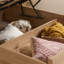 Noemi Storage Bed-95596391