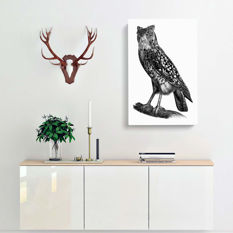Egyptian Owl Illustration - Wrapped Canvas Print, 50cm H x 35cm W x 3cm D
