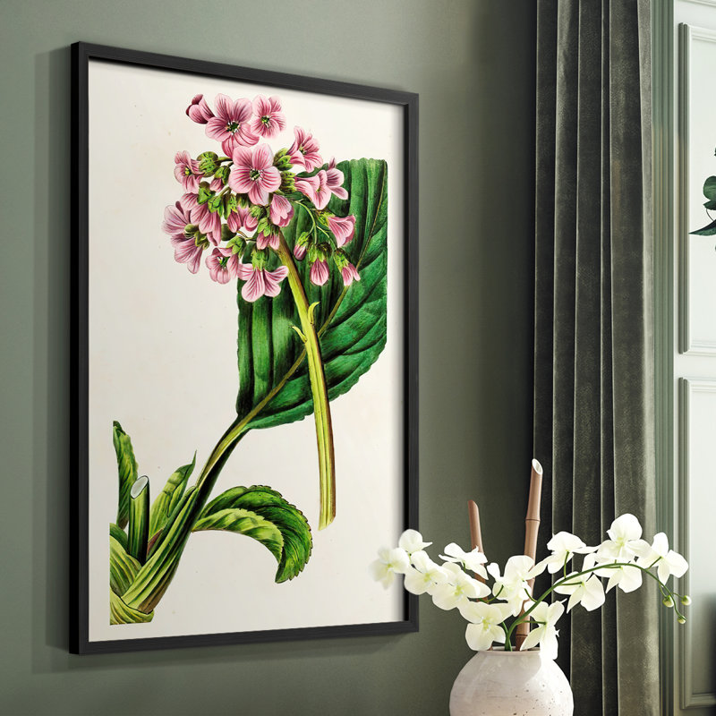 Reproduction encadrée Antique Floral Folio III - bois massif, Noir, H 10 po x l 8 po